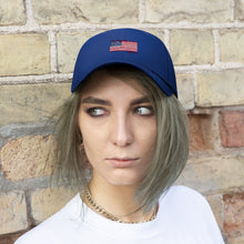 Load image into Gallery viewer, Unisex Twill Hat
